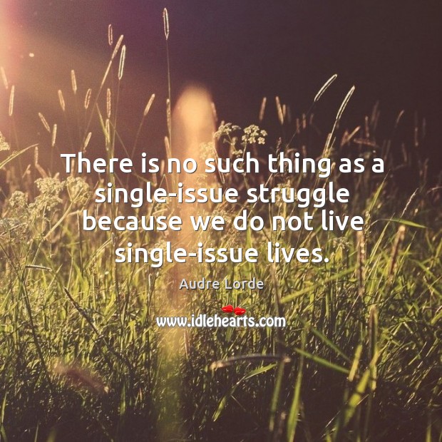 There is no such thing as a single-issue struggle because we do not live single-issue lives. Audre Lorde Picture Quote