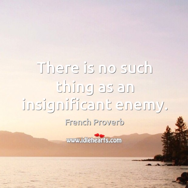 There is no such thing as an insignificant enemy. French Proverbs Image