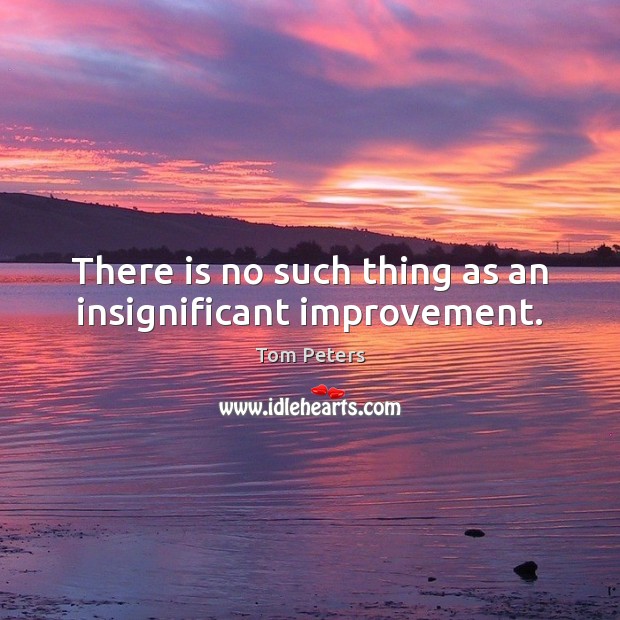 There is no such thing as an insignificant improvement. Image