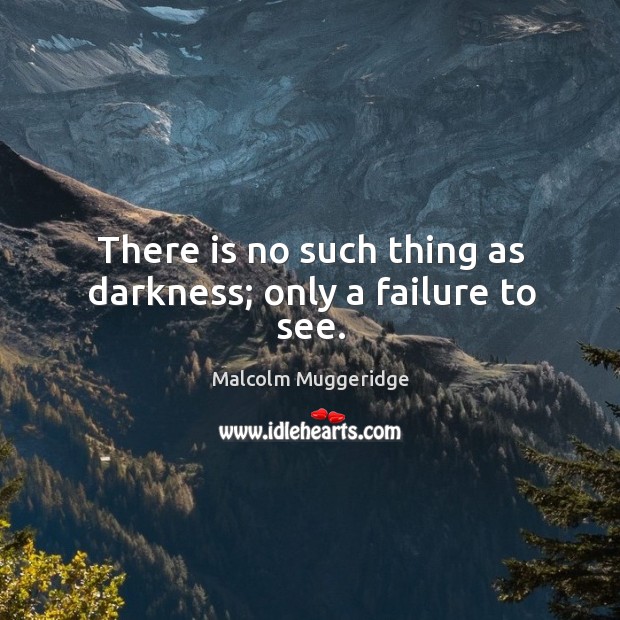 There is no such thing as darkness; only a failure to see. Image