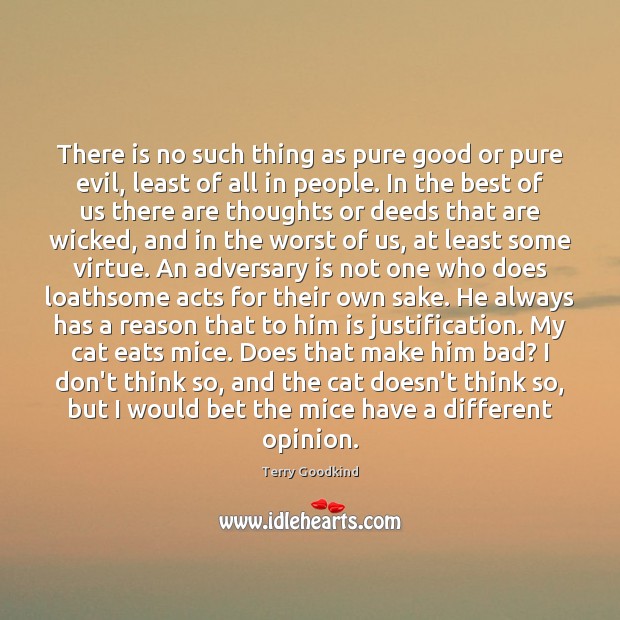 There is no such thing as pure good or pure evil, least 