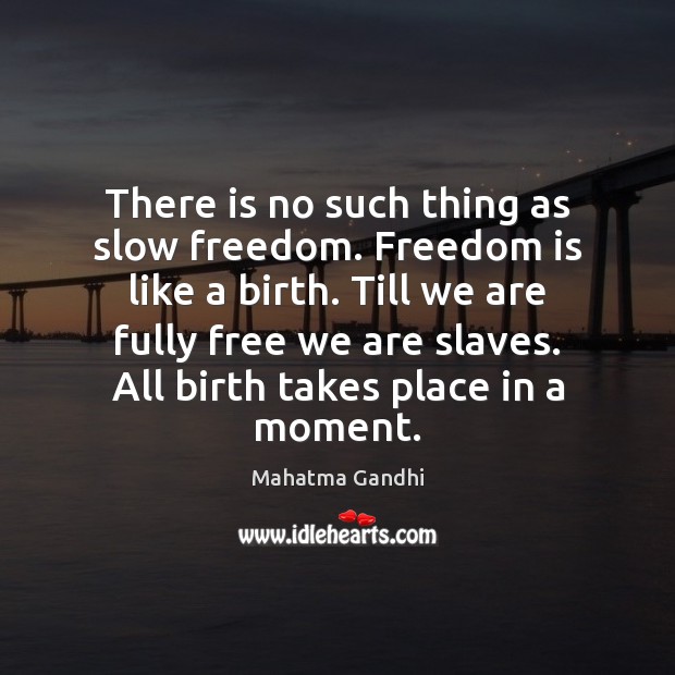 There is no such thing as slow freedom. Freedom is like a Freedom Quotes Image