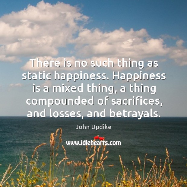 There is no such thing as static happiness. Happiness is a mixed Happiness Quotes Image