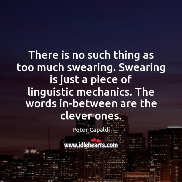 There is no such thing as too much swearing. Swearing is just Peter Capaldi Picture Quote