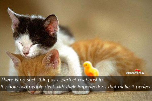 There is no such thing as a perfect relationship People Quotes Image