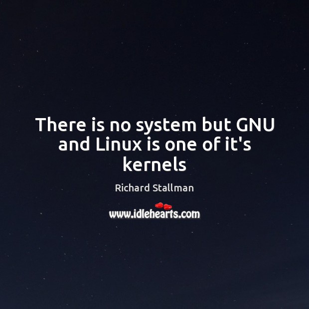 There is no system but GNU and Linux is one of it’s kernels Richard Stallman Picture Quote