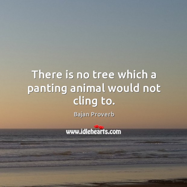 There is no tree which a panting animal would not cling to. Bajan Proverbs Image