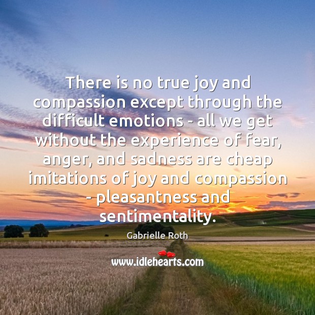 There is no true joy and compassion except through the difficult emotions True Joy Quotes Image