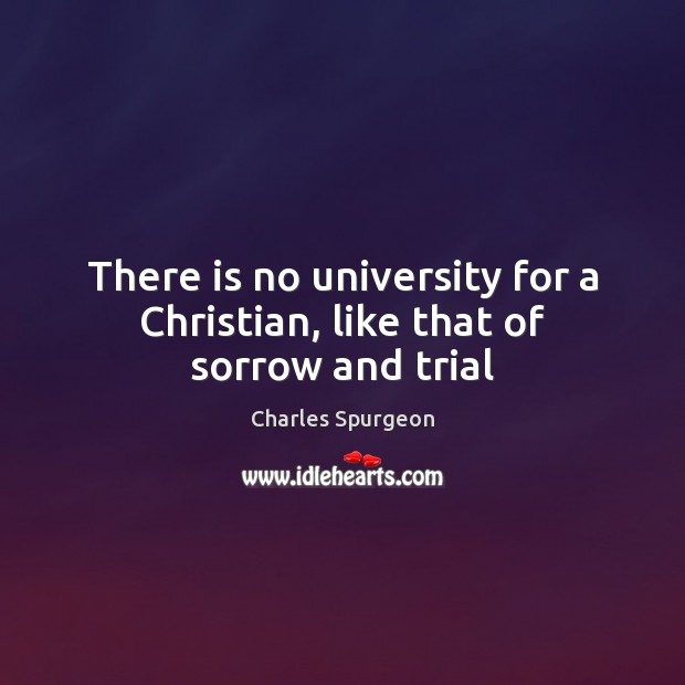 There is no university for a Christian, like that of sorrow and trial Charles Spurgeon Picture Quote