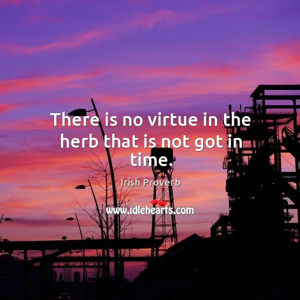 There is no virtue in the herb that is not got in time. Irish Proverbs Image