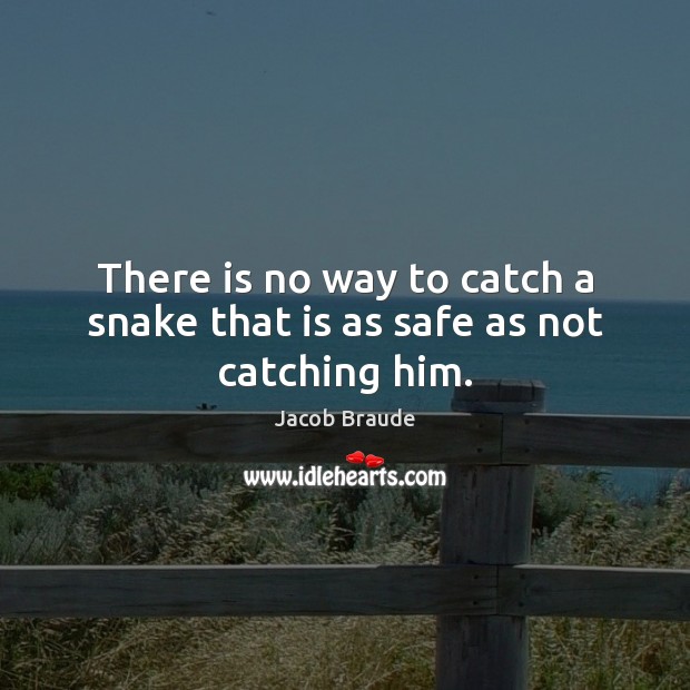 There is no way to catch a snake that is as safe as not catching him. Jacob Braude Picture Quote
