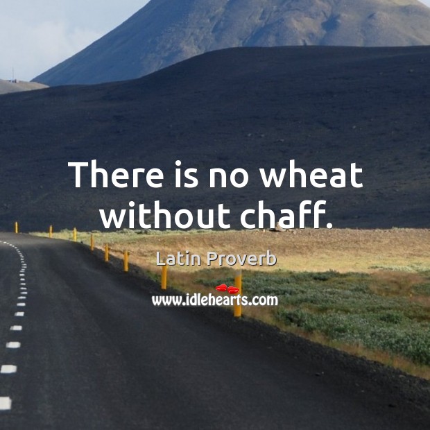 There is no wheat without chaff. Image