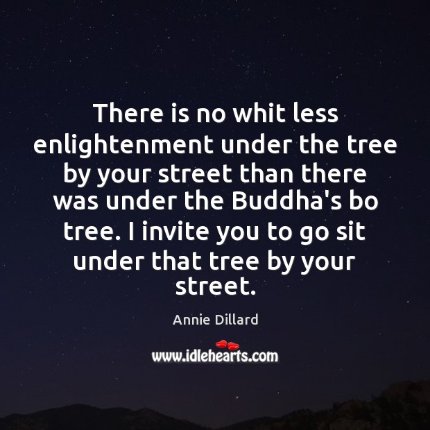 There is no whit less enlightenment under the tree by your street Annie Dillard Picture Quote