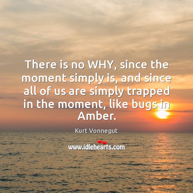 There is no WHY, since the moment simply is, and since all Kurt Vonnegut Picture Quote