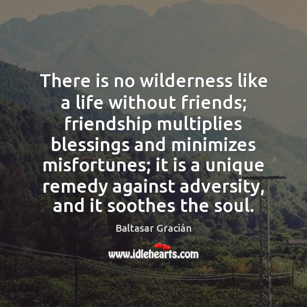 There is no wilderness like a life without friends; friendship multiplies blessings 