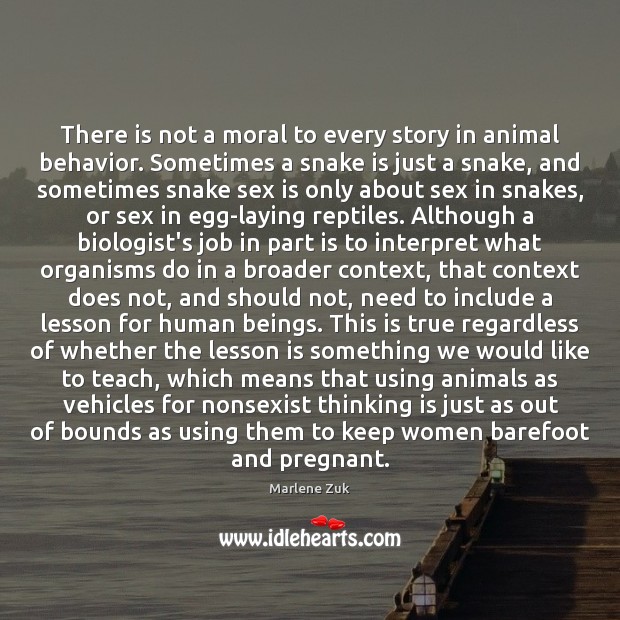 There is not a moral to every story in animal behavior. Sometimes Marlene Zuk Picture Quote