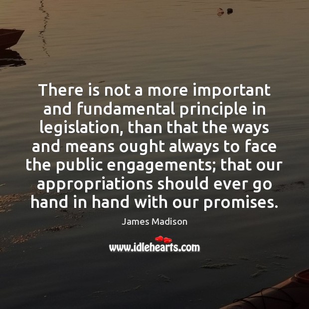 There is not a more important and fundamental principle in legislation, than James Madison Picture Quote