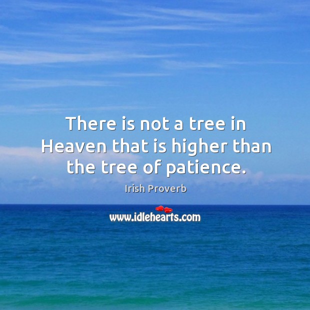 There is not a tree in heaven that is higher than the tree of patience. Irish Proverbs Image
