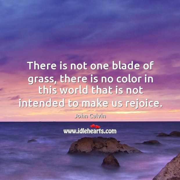 There is not one blade of grass, there is no color in this world that is not intended to make us rejoice. John Calvin Picture Quote