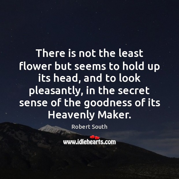 There is not the least flower but seems to hold up its Robert South Picture Quote