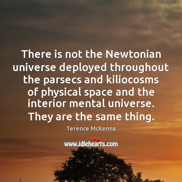 There is not the Newtonian universe deployed throughout the parsecs and kiliocosms Terence McKenna Picture Quote