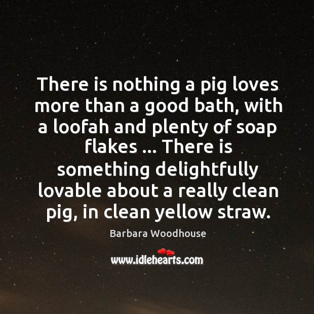 There is nothing a pig loves more than a good bath, with Barbara Woodhouse Picture Quote