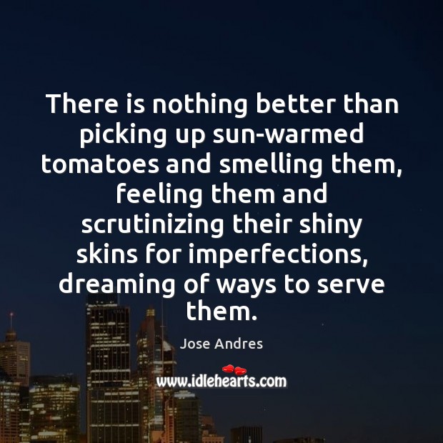 There is nothing better than picking up sun-warmed tomatoes and smelling them, Jose Andres Picture Quote
