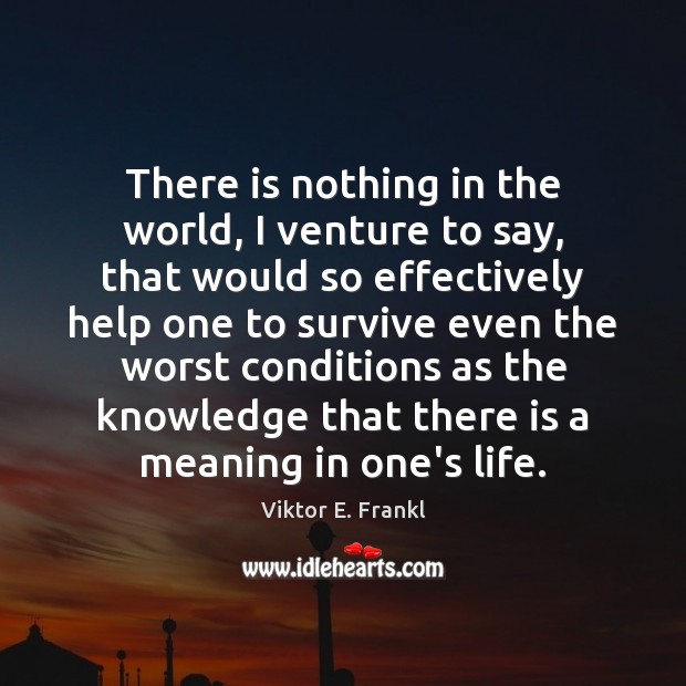 There is nothing in the world, I venture to say, that would Viktor E. Frankl Picture Quote