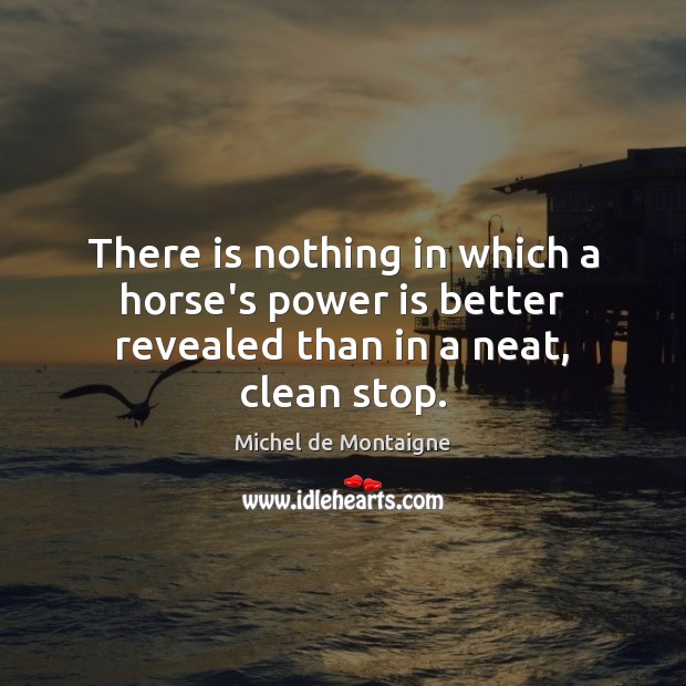 There is nothing in which a horse’s power is better revealed than in a neat, clean stop. Power Quotes Image