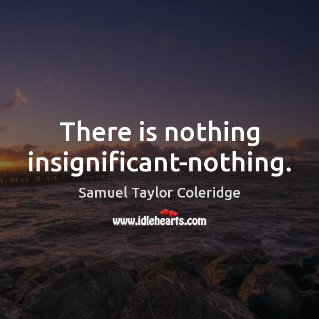 There is nothing insignificant-nothing. Samuel Taylor Coleridge Picture Quote
