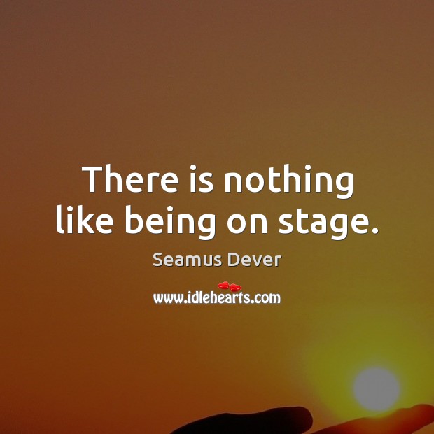 There is nothing like being on stage. Seamus Dever Picture Quote