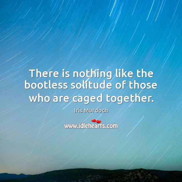 There is nothing like the bootless solitude of those who are caged together. Iris Murdoch Picture Quote