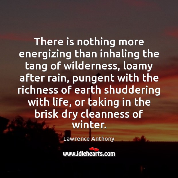 There is nothing more energizing than inhaling the tang of wilderness, loamy Lawrence Anthony Picture Quote