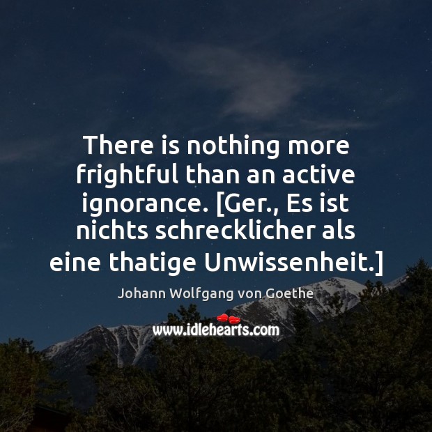 There is nothing more frightful than an active ignorance. [Ger., Es ist Johann Wolfgang von Goethe Picture Quote