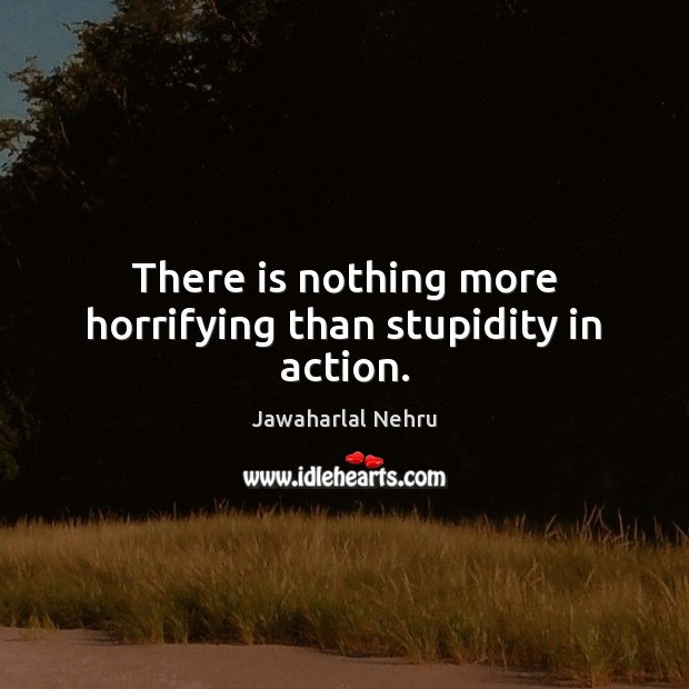 There is nothing more horrifying than stupidity in action. Jawaharlal Nehru Picture Quote