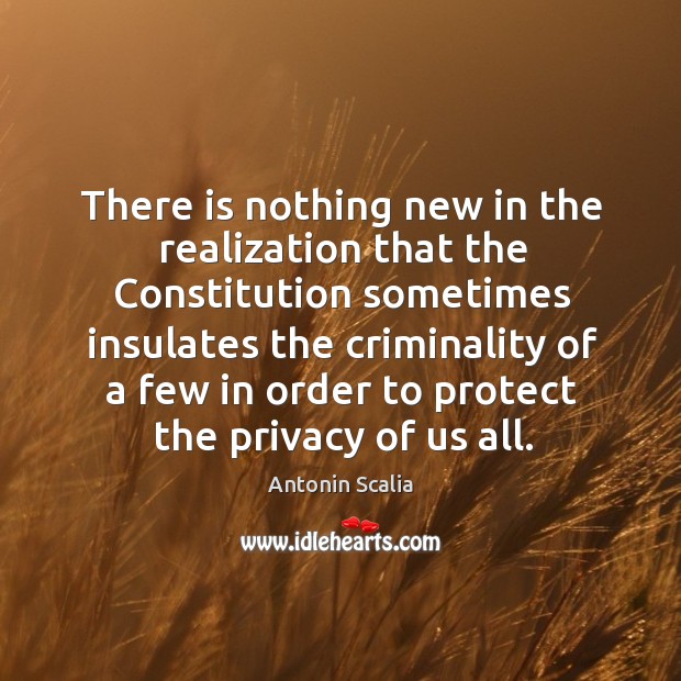 There is nothing new in the realization that the constitution sometimes insulates the criminality of a few in order to protect the privacy of us all. Image