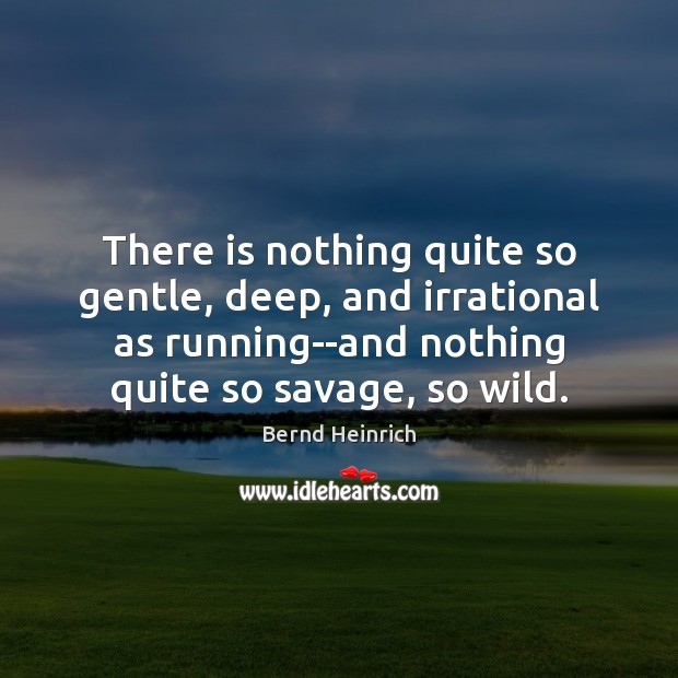 There is nothing quite so gentle, deep, and irrational as running–and nothing Bernd Heinrich Picture Quote