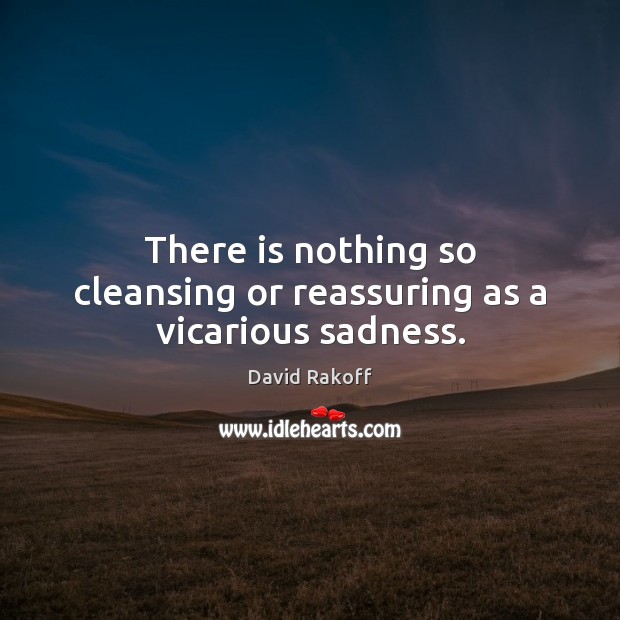 There is nothing so cleansing or reassuring as a vicarious sadness. David Rakoff Picture Quote