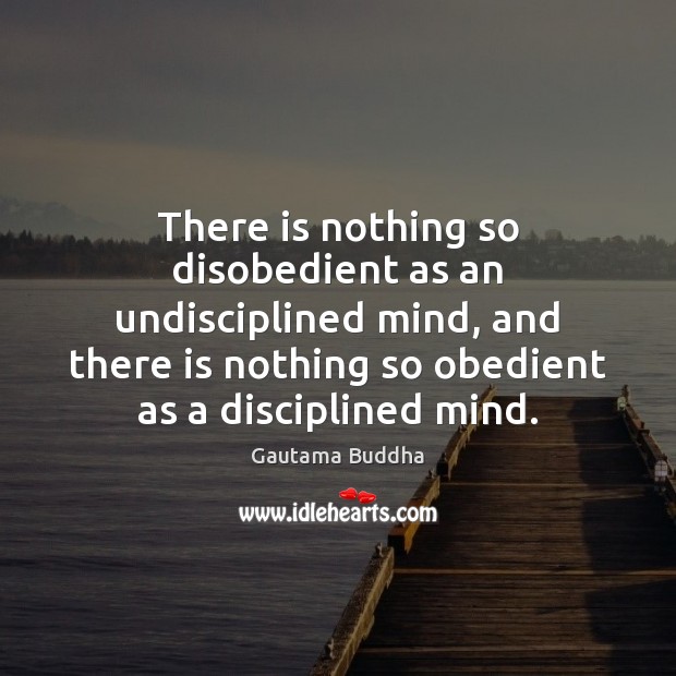 There is nothing so disobedient as an undisciplined mind, and there is Gautama Buddha Picture Quote
