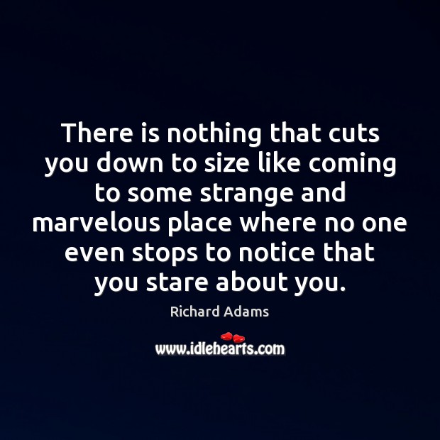 There is nothing that cuts you down to size like coming to Richard Adams Picture Quote