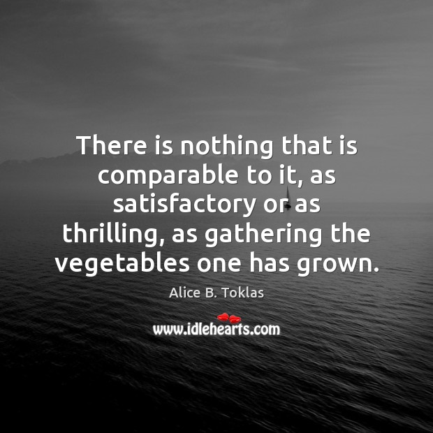 There is nothing that is comparable to it, as satisfactory or as Alice B. Toklas Picture Quote