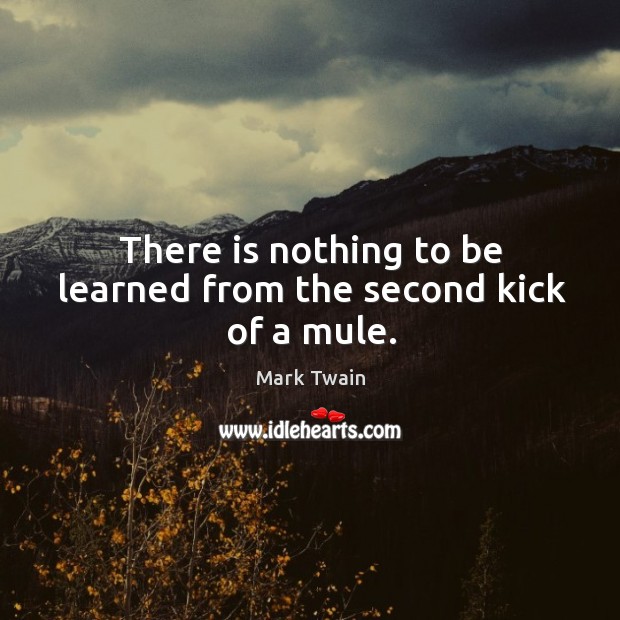There is nothing to be learned from the second kick of a mule. Image