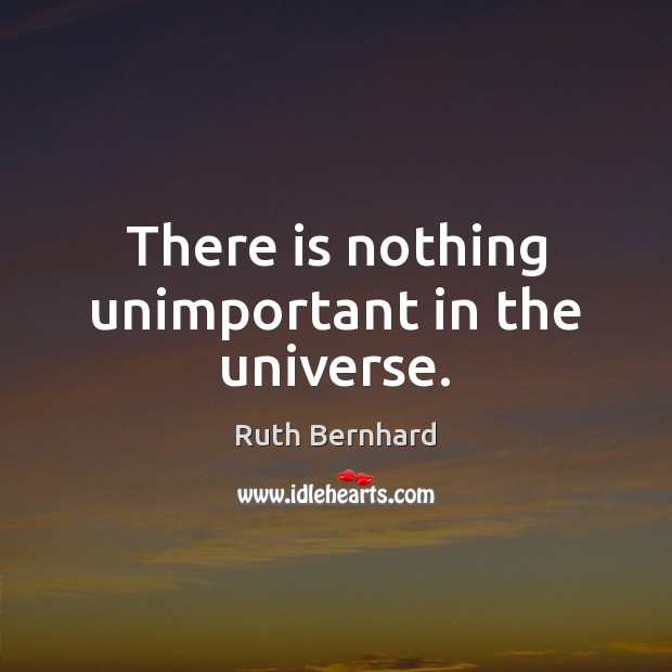 There is nothing unimportant in the universe. Ruth Bernhard Picture Quote