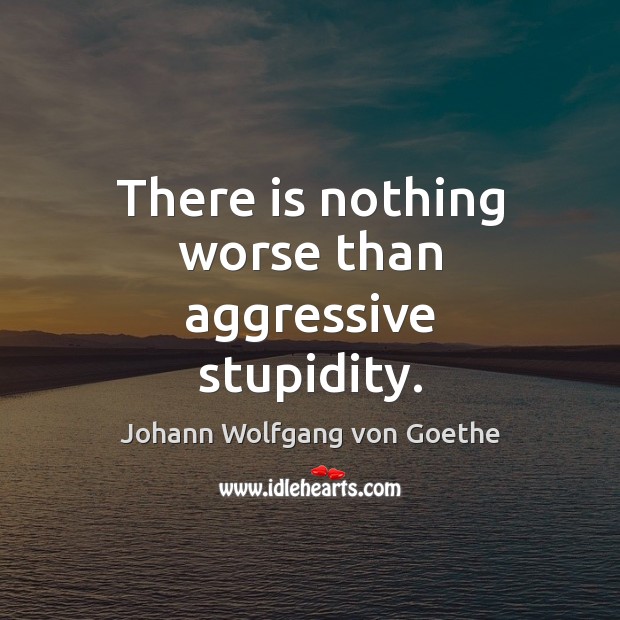 There is nothing worse than aggressive stupidity. Johann Wolfgang von Goethe Picture Quote