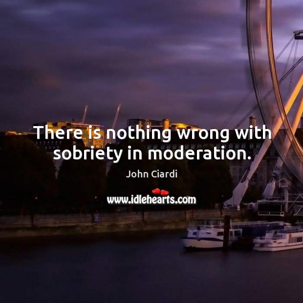 There is nothing wrong with sobriety in moderation. John Ciardi Picture Quote
