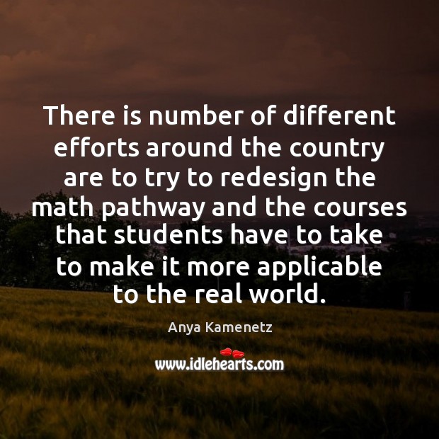 There is number of different efforts around the country are to try Anya Kamenetz Picture Quote