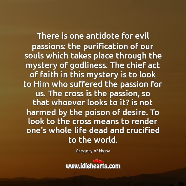 There is one antidote for evil passions: the purification of our souls Image