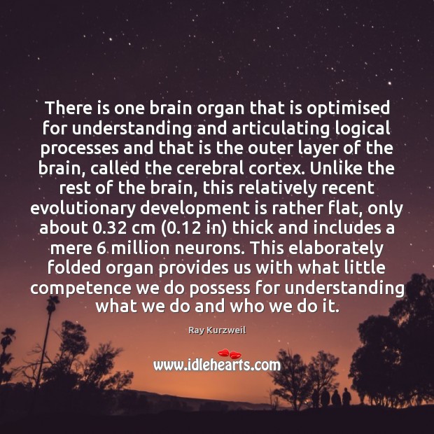 There is one brain organ that is optimised for understanding and articulating Image