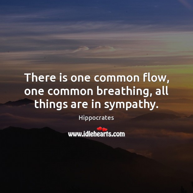 There is one common flow, one common breathing, all things are in sympathy. Hippocrates Picture Quote