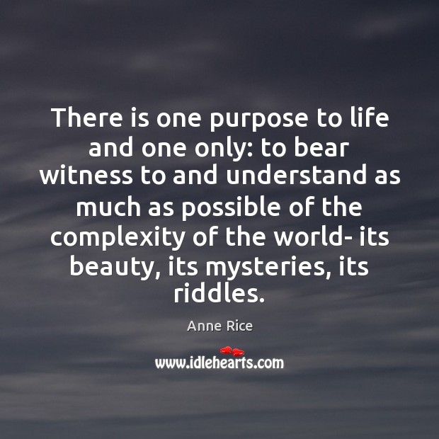 There is one purpose to life and one only: to bear witness Image